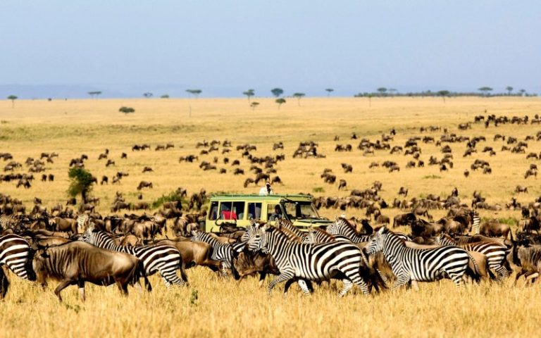 camping safaris kenya tanzania